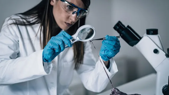 Profissional de enfermagem em ambiente hospitalar, representando prática forense